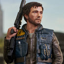 DIAMOND SELECT TOYS Cassian Andor 1/6 Scale Bust - Rogue One: A Star Wars Story Scale Figure