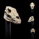 Four Horsemen Mythic Legions Undead Heads Pack - All Stars 6 Action Accessories