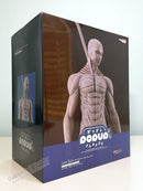Good Smile Company POP UP PARADE Lara Tybur: War Hammer Titan Ver. L Size - Attack on Titan Non Scale Figure