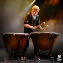 KNUCKLEBONZ Queen Rock Iconz Roger Taylor 1/9 Scale Limited Edition Statue