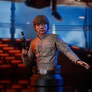 DIAMOND SELECT TOYS Luke 1/6 Bust - Star Wars The Empire Strikes Back Scale Figure