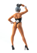 Max Factory PLAMAX MF-47: minimum factory non: Bunny Girl & Anubis Costume (re-run) - Original Character Model Kit